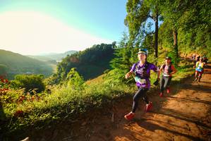 BIB: 
                            <button type="button" onclick="openModal(19169741)" class="btn btn-primary btn-sm float-right btn-popup" data-toggle="modal" data-target=".modal-high-quality">
                        <i class="fas fa-shopping-cart"></i> Add to Cart
                    </button>
                                            <button type="button" onclick="isThisMe(19169741, true)" class="btn btn-success btn-sm float-right btn-popup btn-isme hidden" data-toggle="tooltip" data-placement="bottom" title="นี่คือรูปของคุณใช่ไหม คลิกที่นี่เพื่อเอาเข้าอัลบั้ม">
                        <i class="fas fa-plus"></i> Add to album
                    </button>
                    <button type="button" onclick="isThisMe(19169741, false)" class="btn btn-warning btn-sm float-right btn-popup btn-isnotme hidden">
                        <i class="fas fa-ban"></i> Remove from album
                    </button>